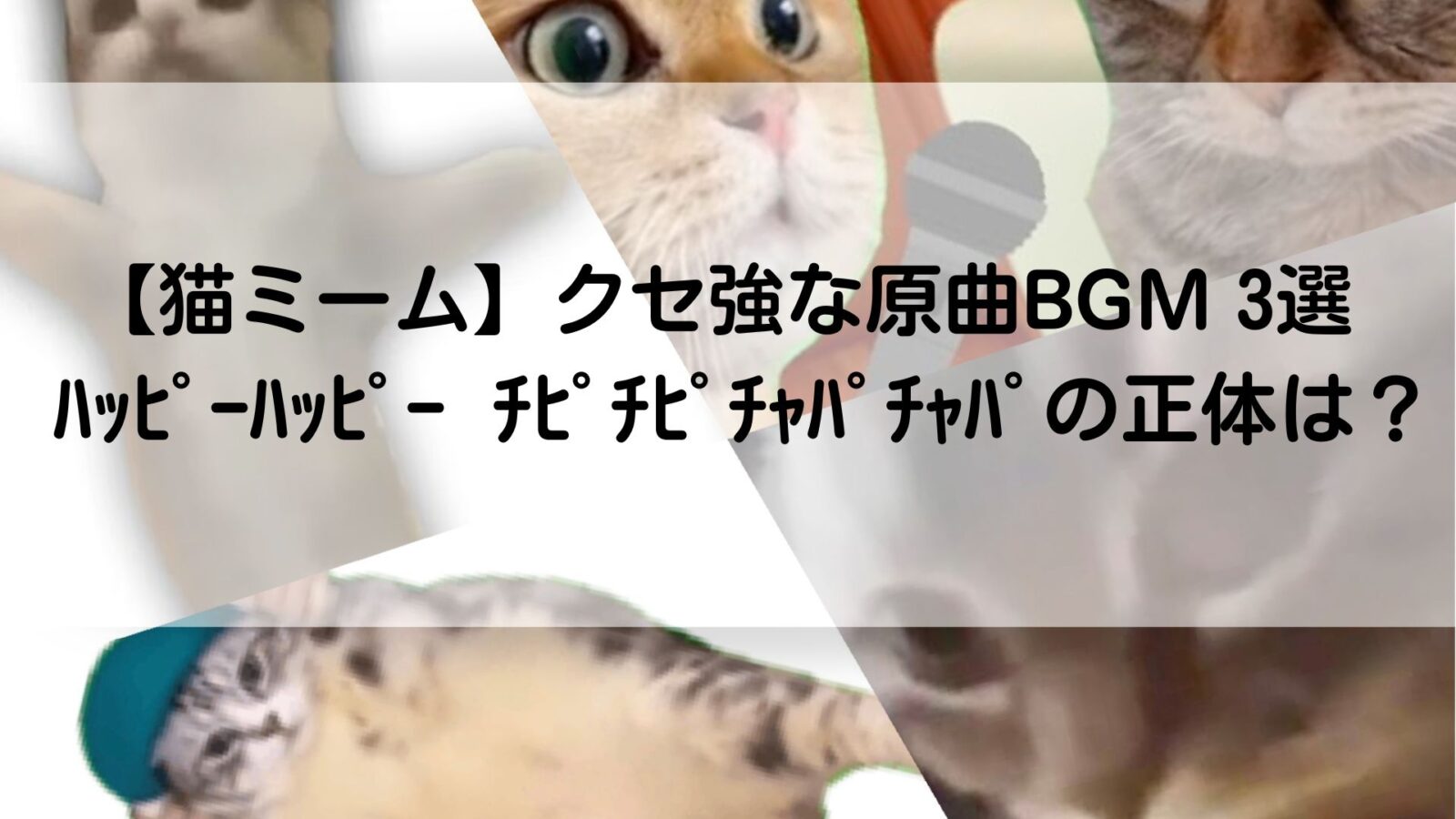 猫ミームの記事のアイキャッチ画像