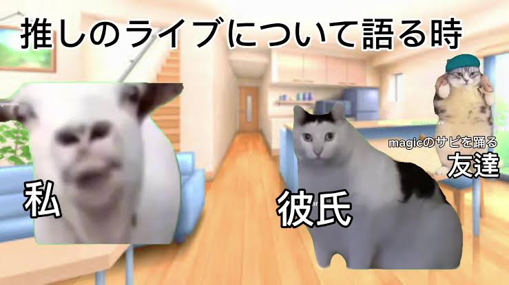 猫ミームの動画のワンシーン